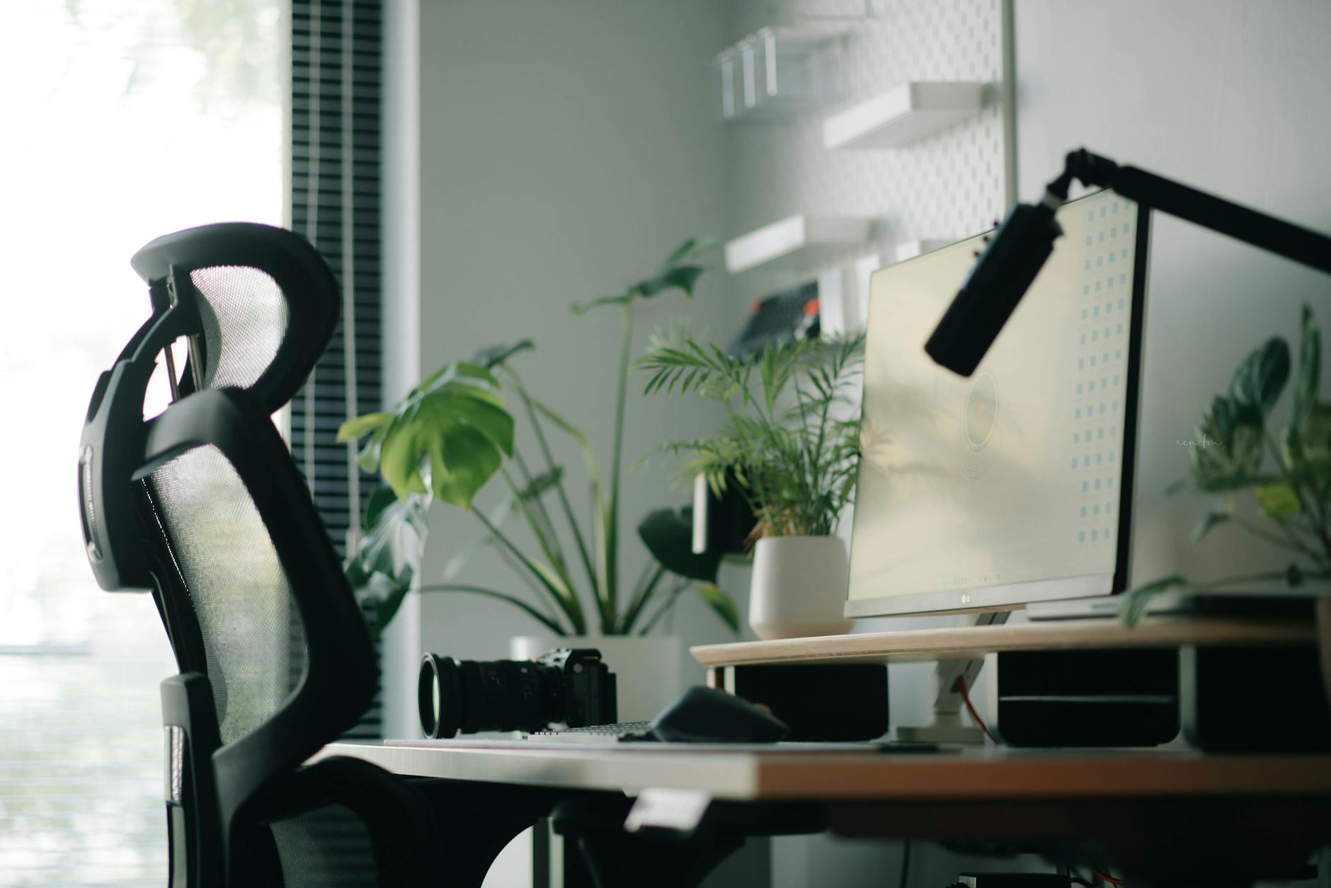 Tuva House Vega Office Chair
